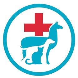 Vets at 77 - General and Emergency Care