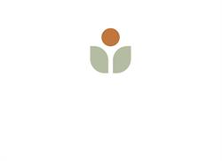 Pukekohe Chiropractic