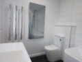 Modern Bathroom Renovation