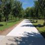 Concrete driveway in Hamilton
