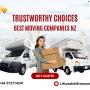 Single Item Furniture Movers Tauranga