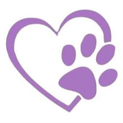 Angels Boutique Charity Shop