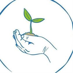 Windsor Montessori Preschool Invercargill