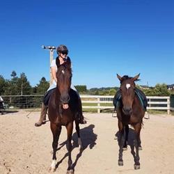 Redwood Equestrian and Lifestyle Block Services