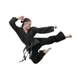 The School of Martial Arts