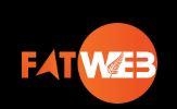 Expert Web Design Wellington  Website Services  NZ  FatWeb