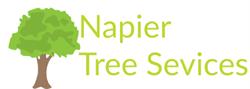 Tree Removal Napier