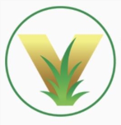 Vernado