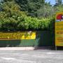 Kindergarten