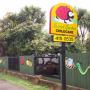 kindergarden albany