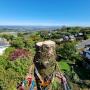 Tree removal christchurch