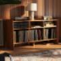 Castle Audio & Vinyl Storage