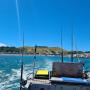kaikoura fishing charters