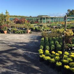 Moores Valley Nurseries Levin Branch