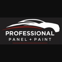 Professional Panel + Paint