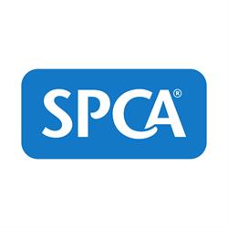 SPCA Canterbury