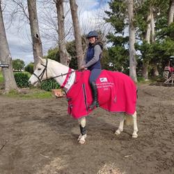 Diamond Lodge Equestrian