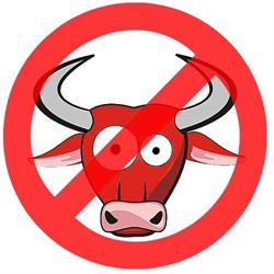 No Bull Technology