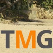 Tech Management Group