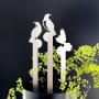 NZ Bird Art