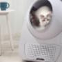 Catlink Automatic Self-Cleaning Litter Box