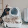 Catlink Automatic Self-Cleaning Litter Box