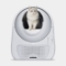 CATLINK Scooper Young