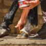 Cornucrescine Hoof Ointment - Maneline Cambridge Farrier Supplies NZ