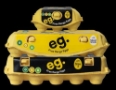 eg free range eggs