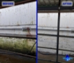 Cow shed cleaning