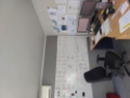 programmed-property-services-mt-maunganui-3