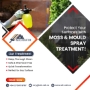 Mose mould