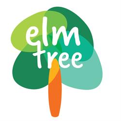 Elm Tree