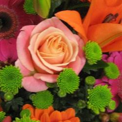 BBB Florist