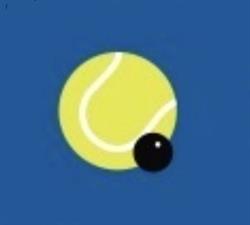 Browns Bay Racquets Club Inc