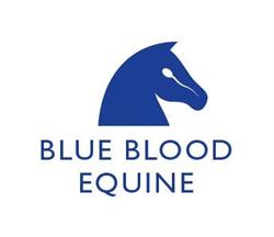 Blue Blood Equine Ltd