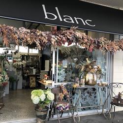 Blanc Flowers