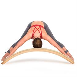 Rejuvenate Yoga Acupuncture & Massage