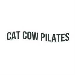 Cat Cow Pilates Reformer Studio