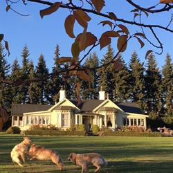 Laurel Bank House