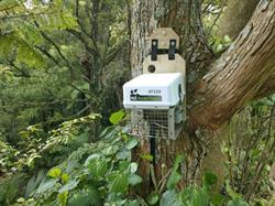 NZ AutoTraps