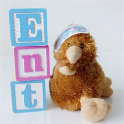 Auckland Childrens ENT