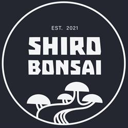 Shiro Bonsai NZ