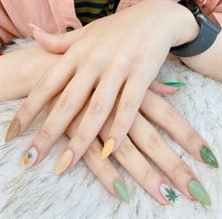 4 Seasons Nails Waikanae