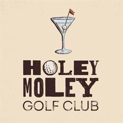 Holey Moley Golf Club Wellington
