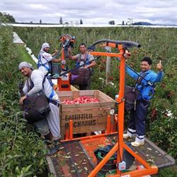 Fairfield Orchards Ltd