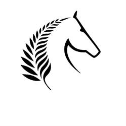 Equestrian Sports NZ