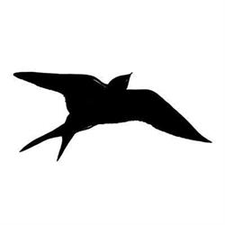Welcome Swallow Gallery & Gifts