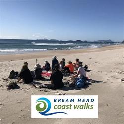 Bream Head Coast Walks