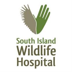 South Island Wildlife Hospital